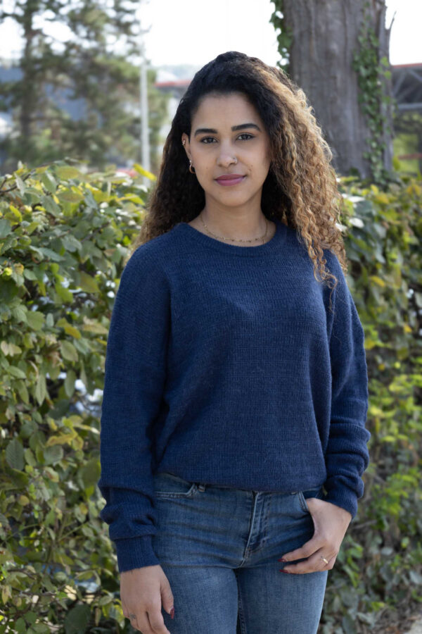 Elin R.Neck Nordic Stripe 20%Acryl 20%Mohair 10%Nylon 10%Alpaca